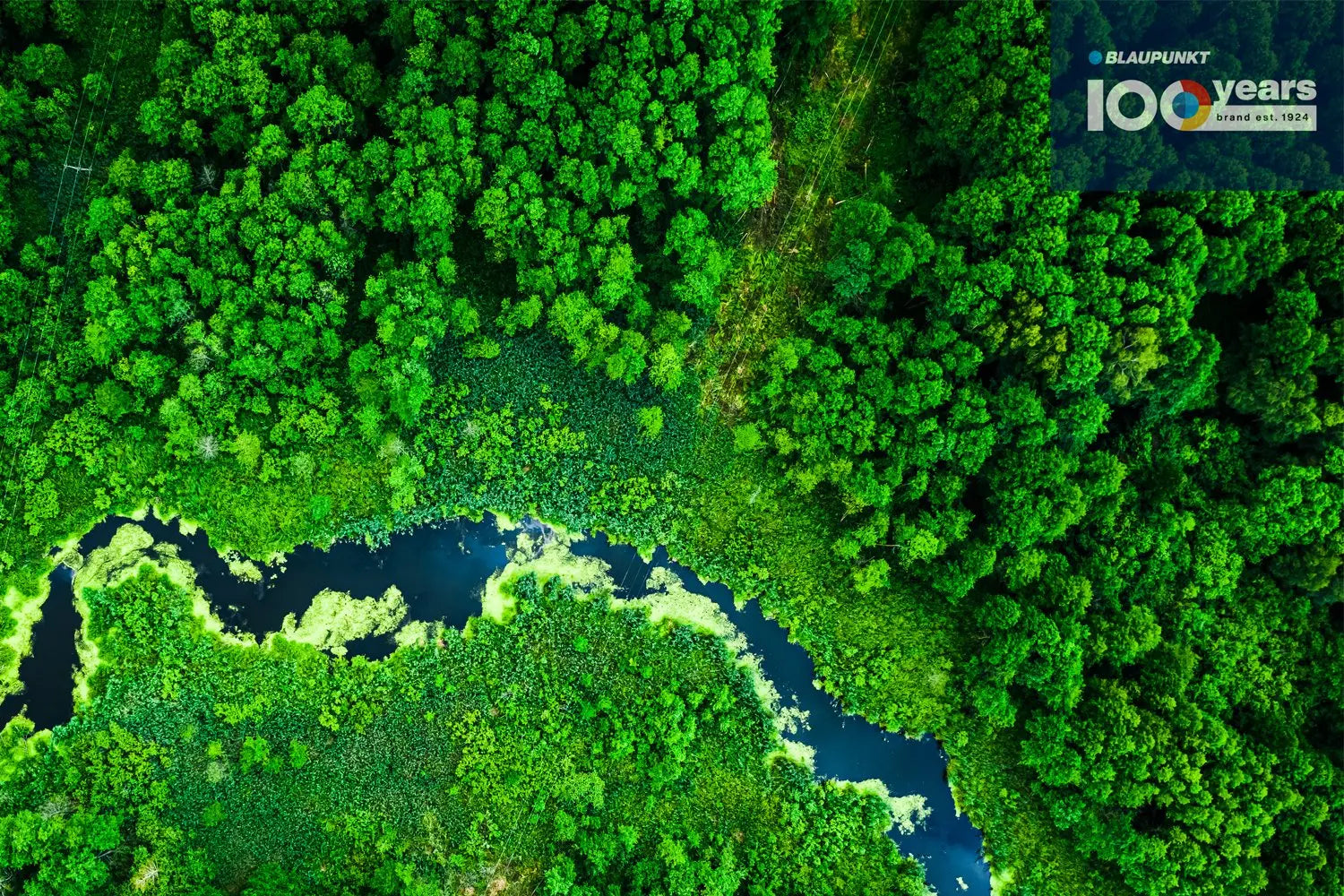 Aerial view of dense green forest with river, symbolizing Nachhaltigkeit bei Blaupunkt environmental commitment.