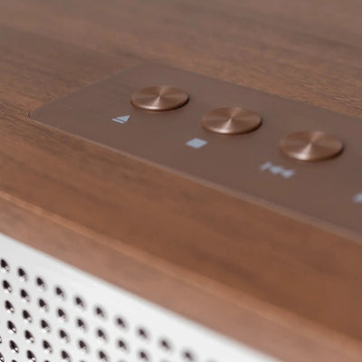 Blaupunkt MILANO Nostalgie Internetradio mit CD in Walnuss-Holzgehäuse und Aluminiumfront, Nahaufnahme Bedientasten