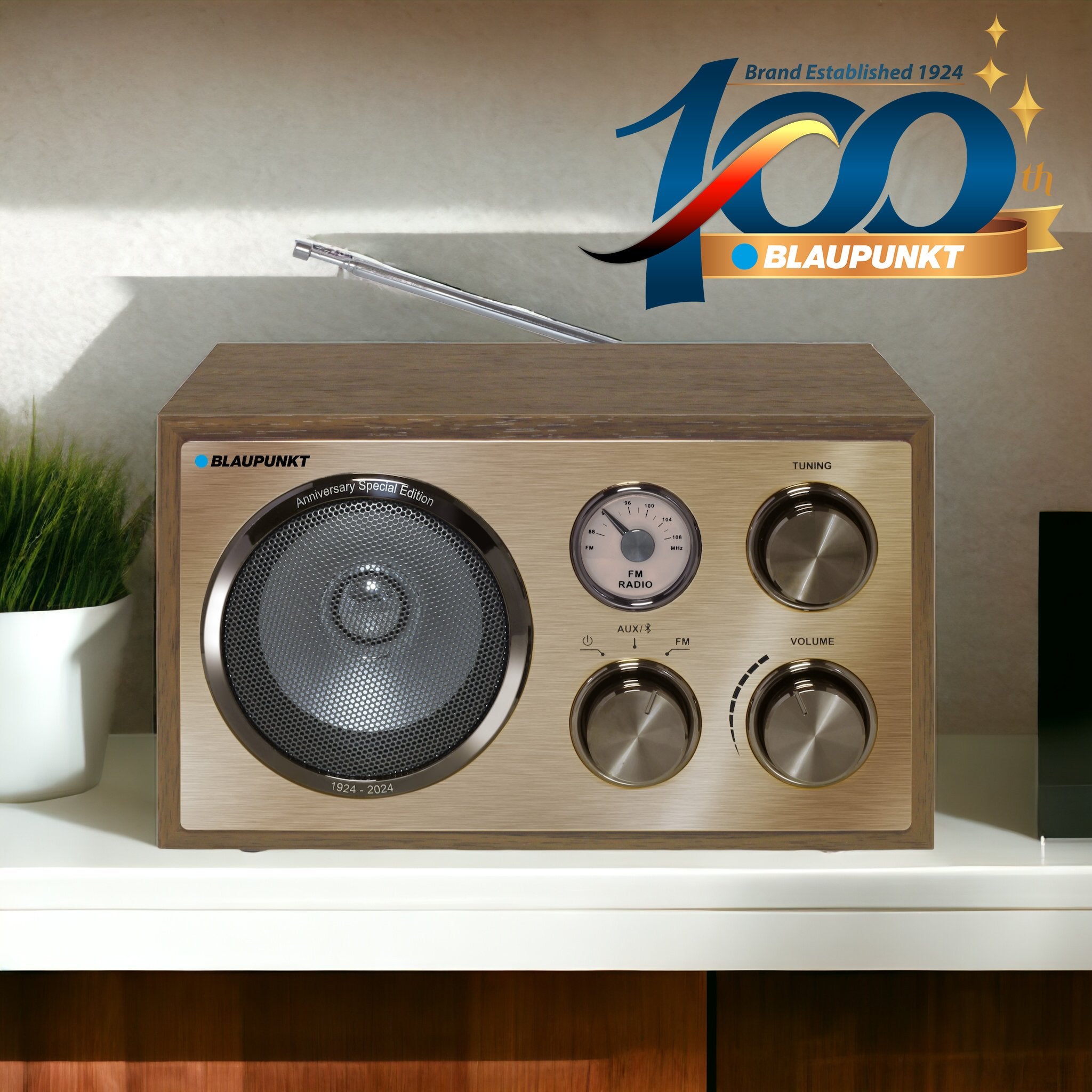 Nostalgieradio mit Bluetooth | RXN 180 Messing | Palermo - Blaupunkt Audio Deutschland Radio Walnuss / Messing